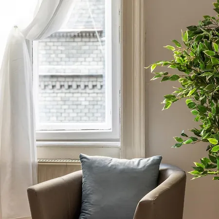 Urban Lights In Downtown بودابست